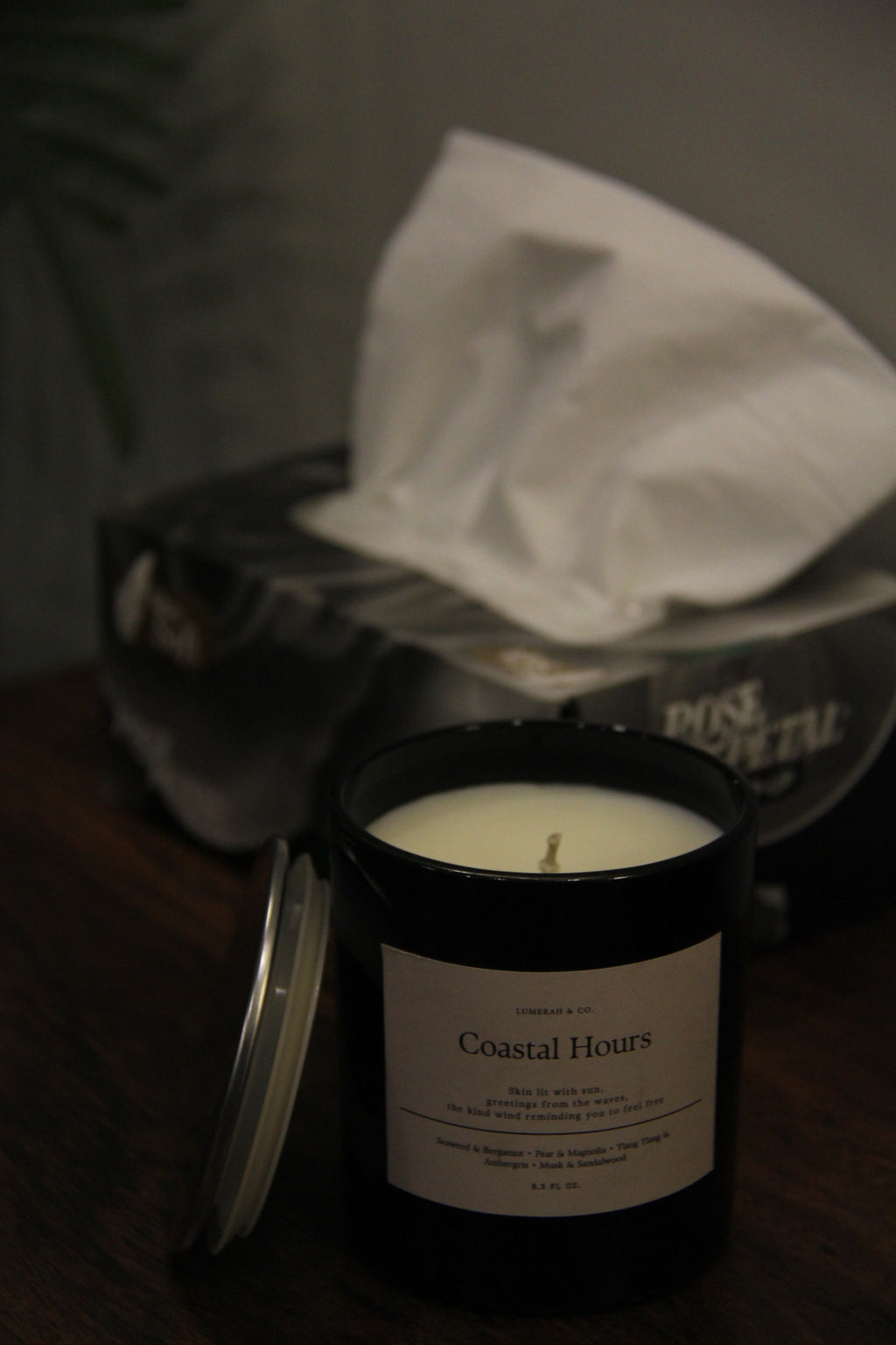 Coastal Hours Luxury Scented Candle